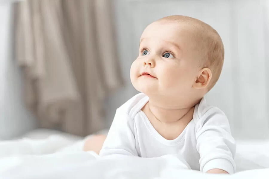 嬰兒與較大嬰兒配方食品廣告處理原則